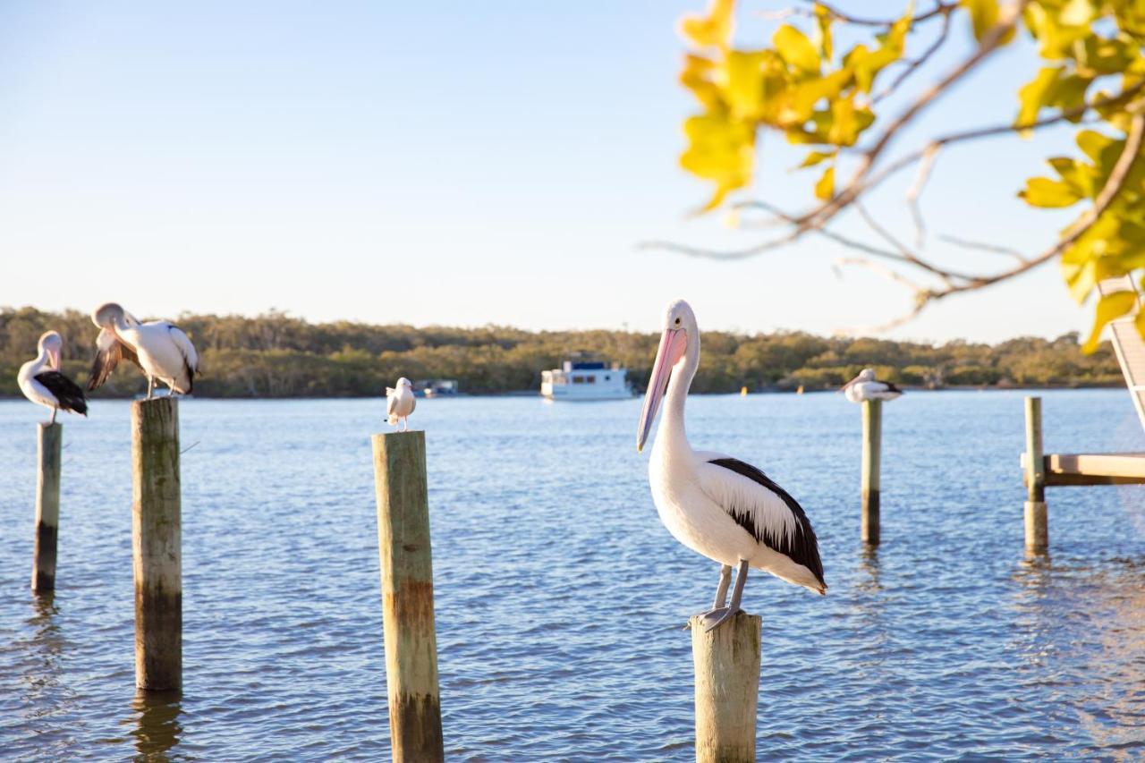 The Islander Noosa Resort Noosaville Exterior foto